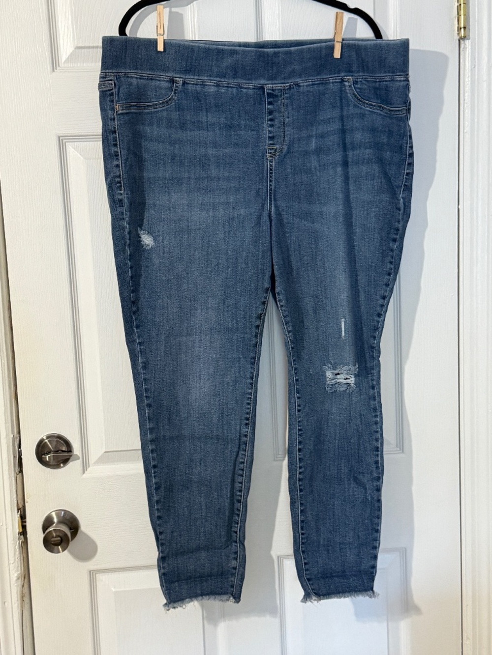 Lane Bryant Jeans 24